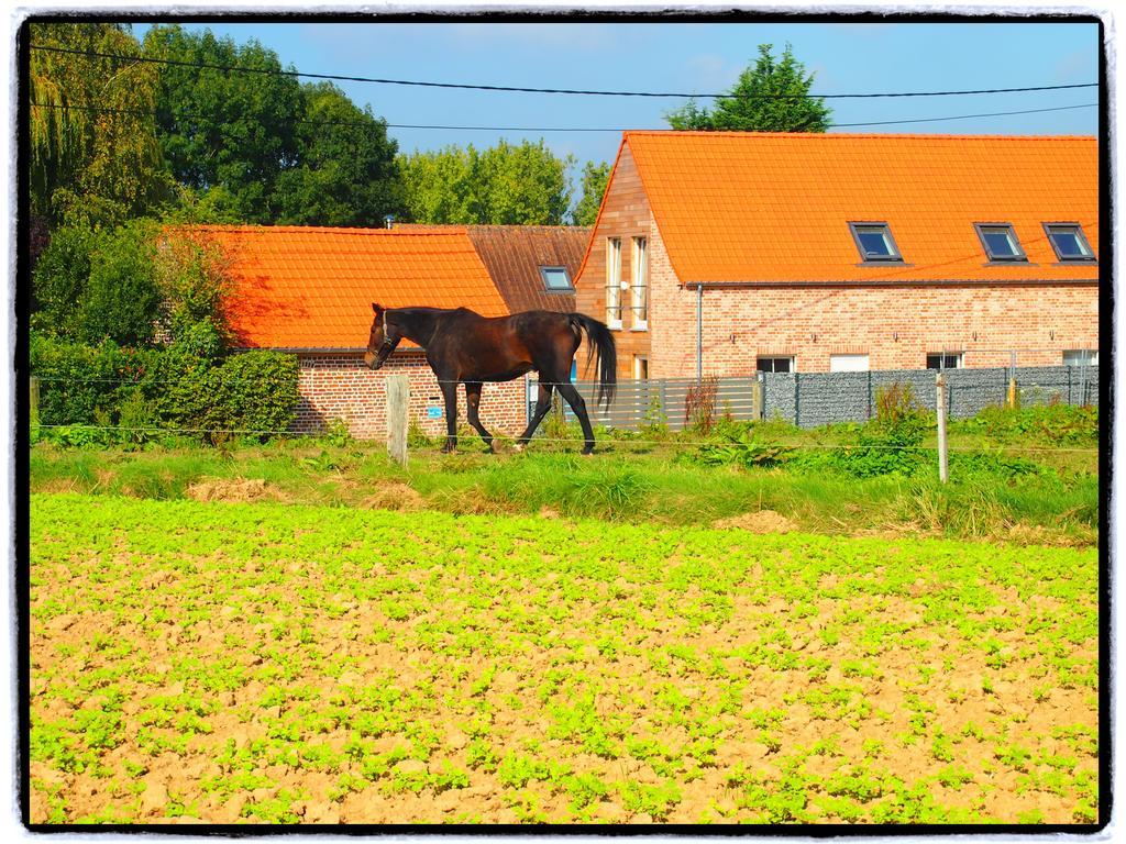 Archipel Holiday Cottage Ellezelles Pokoj fotografie