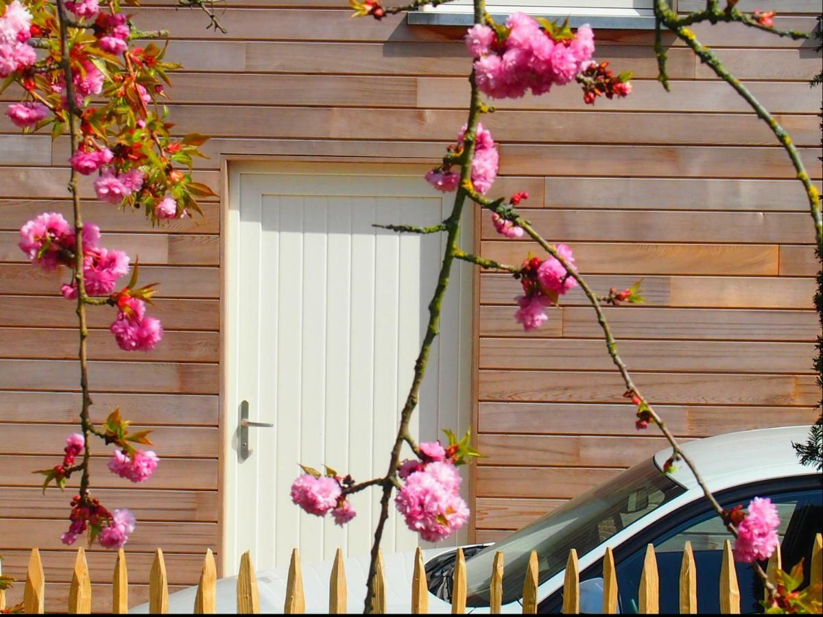 Archipel Holiday Cottage Ellezelles Exteriér fotografie